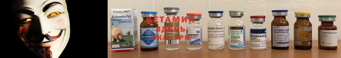 кокаин премиум Каменногорск