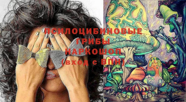 герыч Каменка