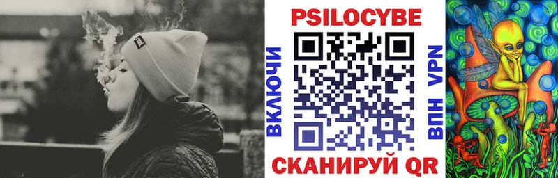 Купить  Севск  Галлюциногенные грибы GOLDEN TEACHER 